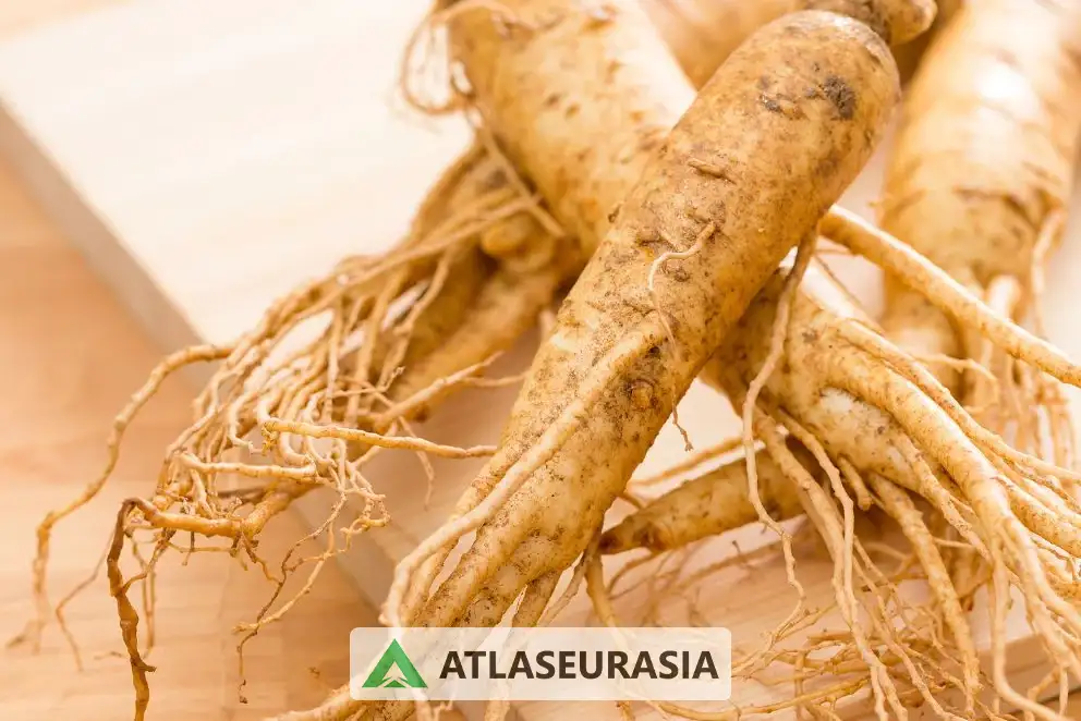 اسانس جینسینگ 